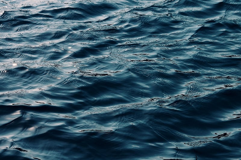 Quiet Reflections
