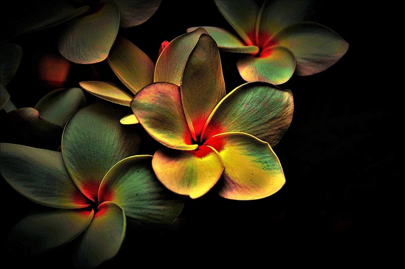 Listening Image